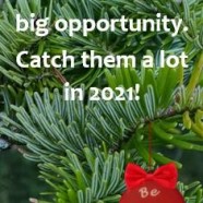 All the best to you in 2021